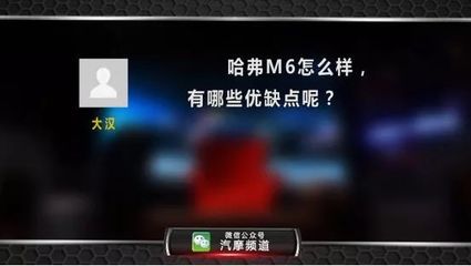 【爱车聊天室】哈弗车型大集合