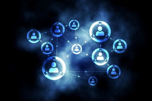 回望2019 社交江湖的危险游戏